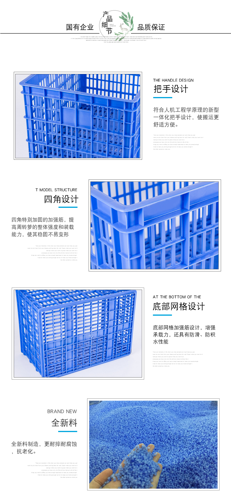 8號周轉蘿詳情 (2)